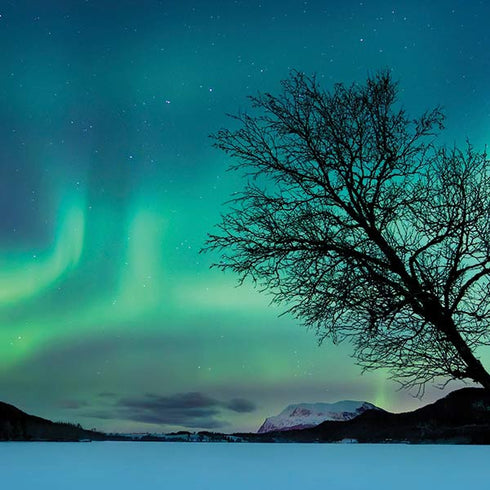 StockTrek Aurora Borealis over a lake in Norway Laptop Skins